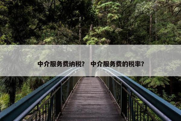 中介服务费纳税？ 中介服务费的税率？