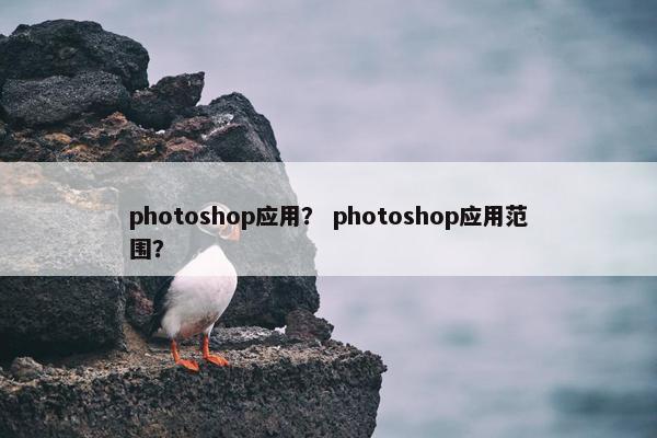 photoshop应用? photoshop应用范围? photoshop应用? photoshop应用范围?