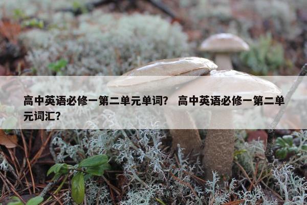 高中英语必修一第二单元单词？ 高中英语必修一第二单元词汇？