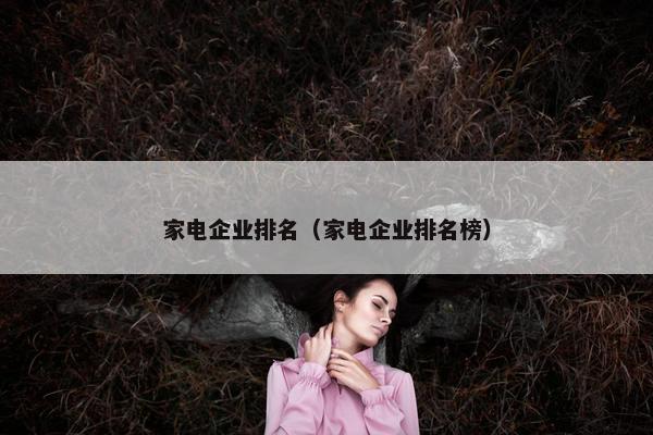 家电企业排名（家电企业排名榜）