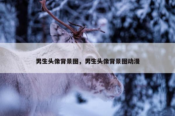男生头像背景图，男生头像背景图动漫