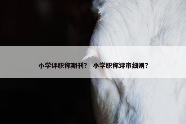 小学评职称期刊？ 小学职称评审细则？