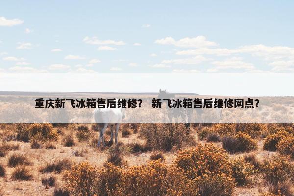 重庆新飞冰箱售后维修？ 新飞冰箱售后维修网点？
