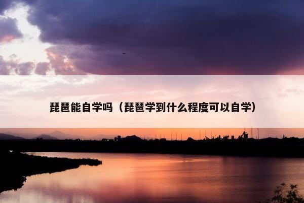 琵琶能自学吗（琵琶学到什么程度可以自学）