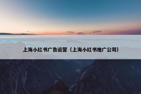 上海小红书广告运营（上海小红书推广公司）