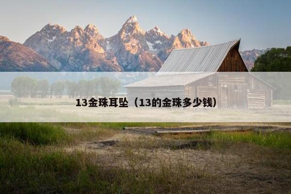 13金珠耳坠（13的金珠多少钱）