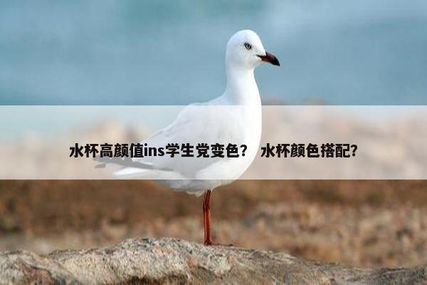 水杯高颜值ins学生党变色？ 水杯颜色搭配？
