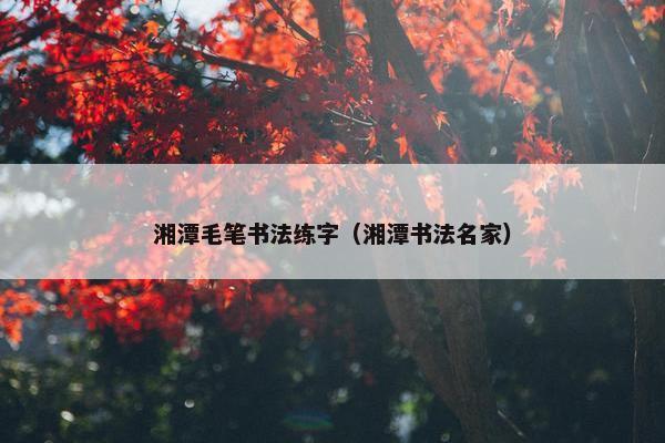 湘潭毛笔书法练字（湘潭书法名家）