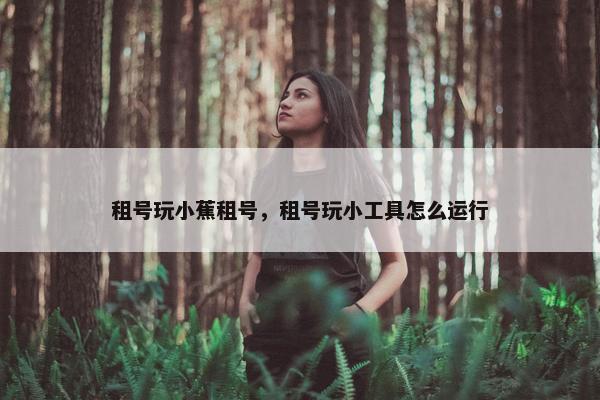 租号玩小蕉租号，租号玩小工具怎么运行