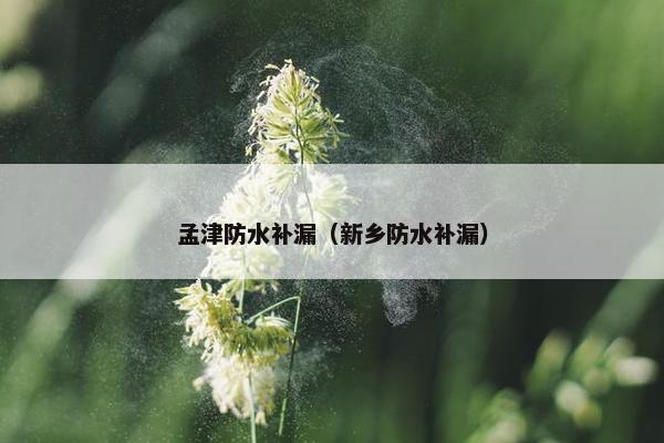 孟津防水补漏（新乡防水补漏）