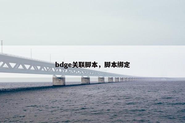 bdge关联脚本，脚本绑定