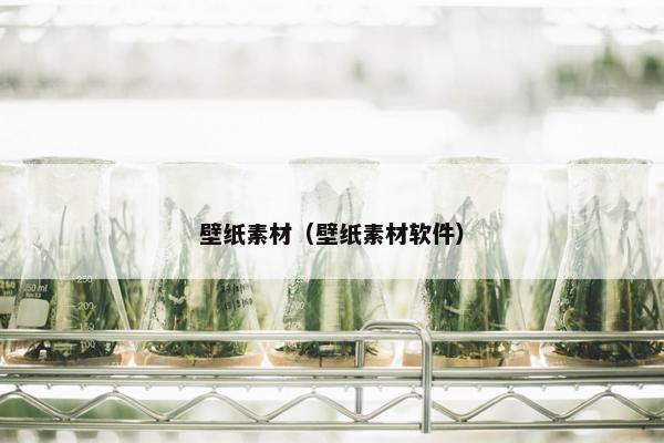 壁纸素材(壁纸素材软件) 壁纸素材(壁纸素材软件)