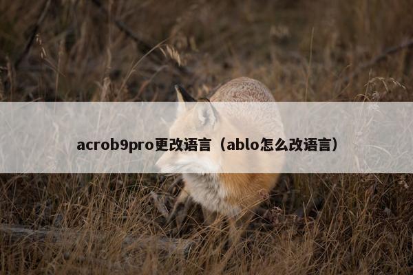 acrob9pro更改语言（ablo怎么改语言）