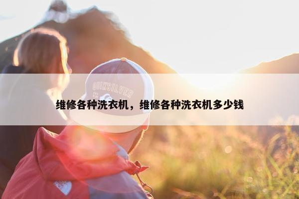 维修各种洗衣机，维修各种洗衣机多少钱