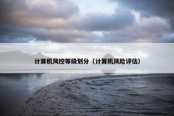 计算机风控等级划分（计算机风险评估）