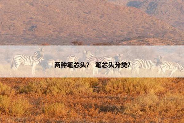 两种笔芯头？ 笔芯头分类？