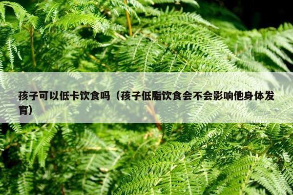 孩子可以低卡饮食吗（孩子低脂饮食会不会影响他身体发育）