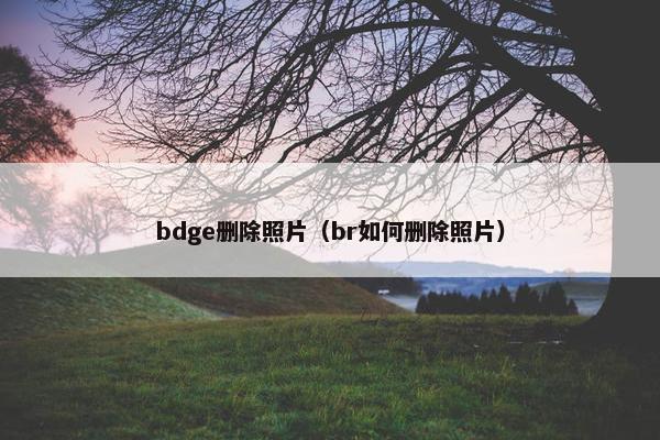 bdge删除照片（br如何删除照片）