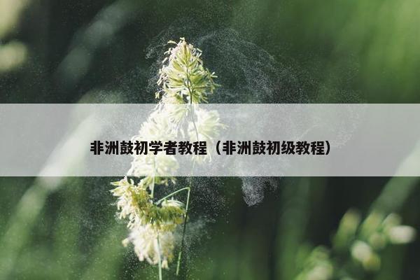非洲鼓初学者教程（非洲鼓初级教程）