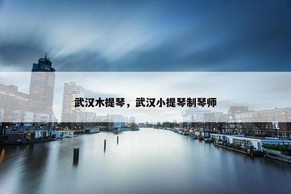 武汉木提琴，武汉小提琴制琴师