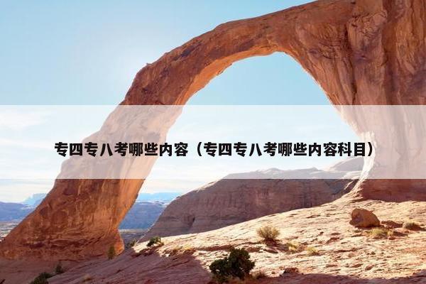 专四专八考哪些内容（专四专八考哪些内容科目）