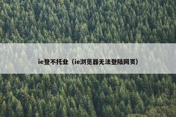 ie登不托业（ie浏览器无法登陆网页）