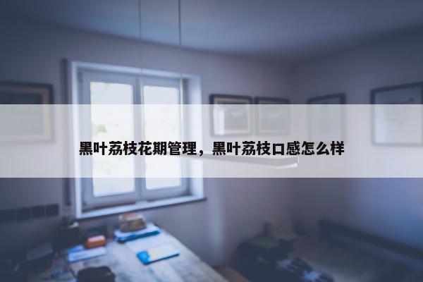 黑叶荔枝花期管理，黑叶荔枝口感怎么样