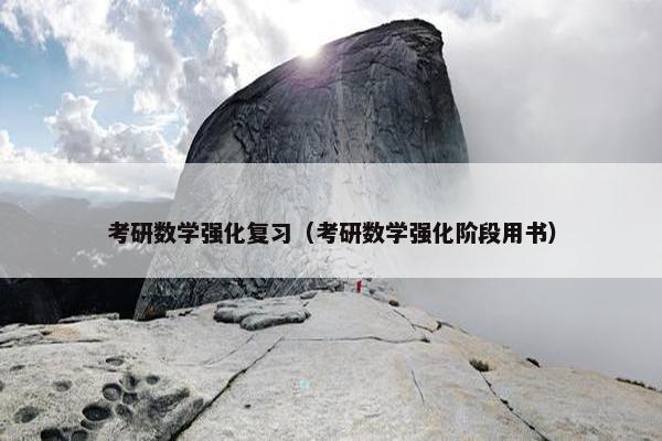 考研数学强化复习（考研数学强化阶段用书）
