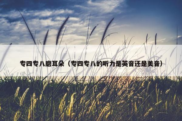 专四专八磨耳朵(专四专八的听力是英音还是美音) 专四专八磨耳朵(专四专八的听力是英音还是美音)