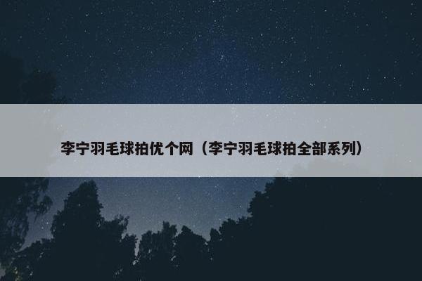 李宁羽毛球拍优个网（李宁羽毛球拍全部系列）