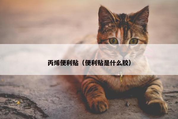 丙烯便利贴（便利贴是什么胶）