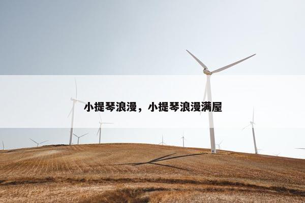 小提琴浪漫，小提琴浪漫满屋