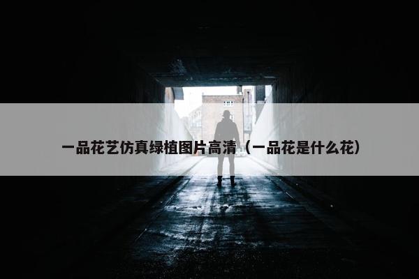 一品花艺仿真绿植图片高清（一品花是什么花）