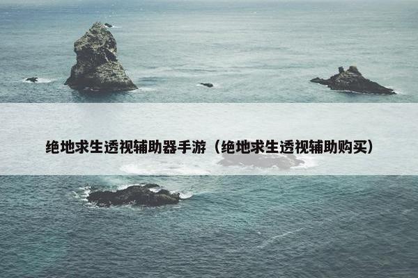 绝地求生透视辅助器手游（绝地求生透视辅助购买）