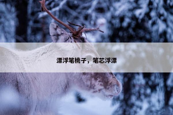 漂浮笔桃子，笔芯浮漂