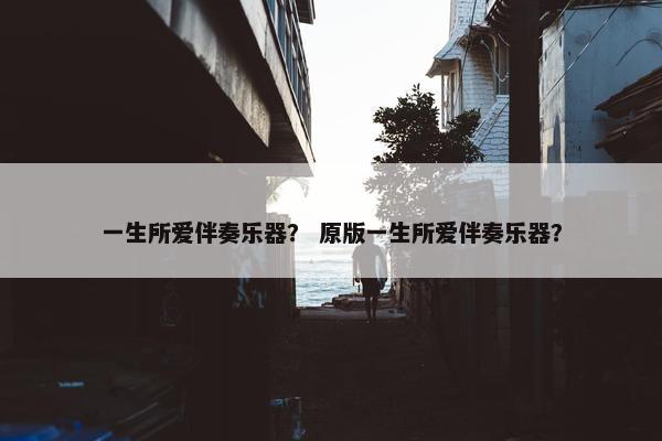 一生所爱伴奏乐器？ 原版一生所爱伴奏乐器？