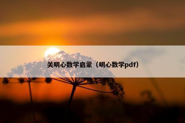 关明心数学启蒙（明心数学pdf）