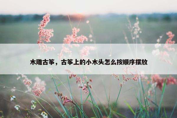 木雕古筝，古筝上的小木头怎么按顺序摆放