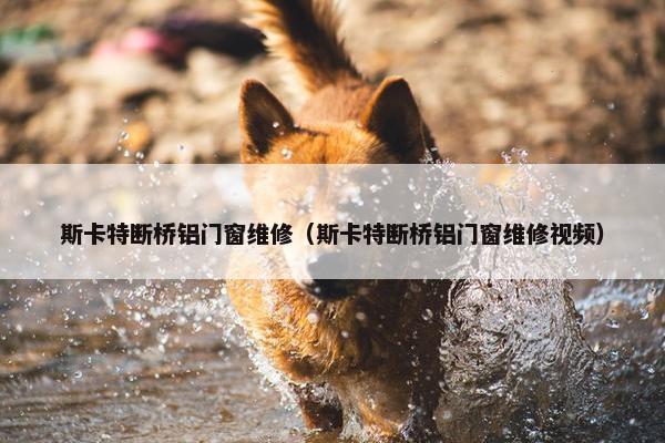 斯卡特断桥铝门窗维修（斯卡特断桥铝门窗维修视频）