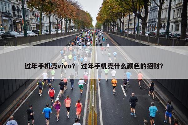 过年手机壳vivo？ 过年手机壳什么颜色的招财？