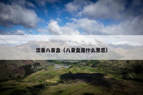 流音八音盒（八音盒是什么意思）