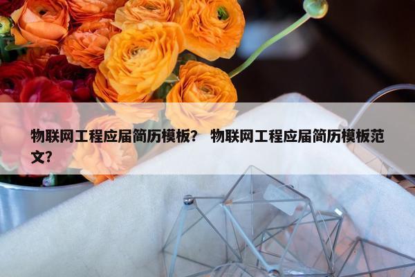 物联网工程应届简历模板？ 物联网工程应届简历模板范文？