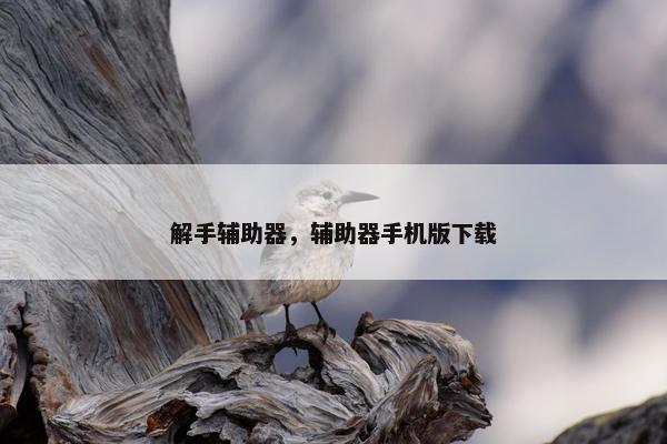 解手辅助器，辅助器手机版下载