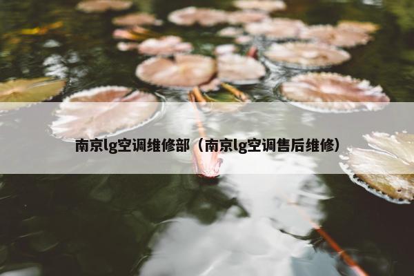 南京lg空调维修部（南京lg空调售后维修）