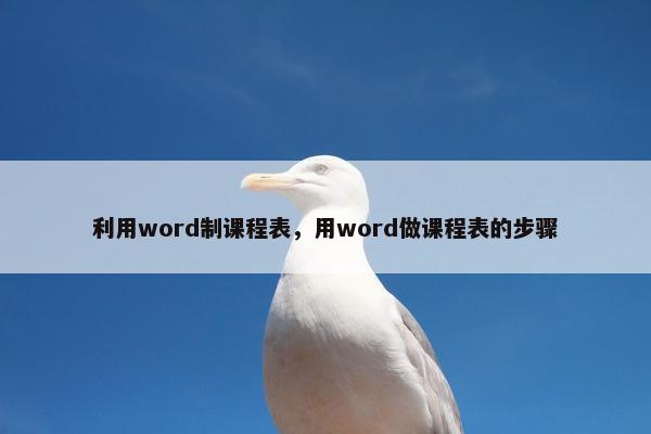 利用word制课程表，用word做课程表的步骤