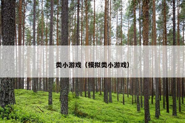 类小游戏（模拟类小游戏）