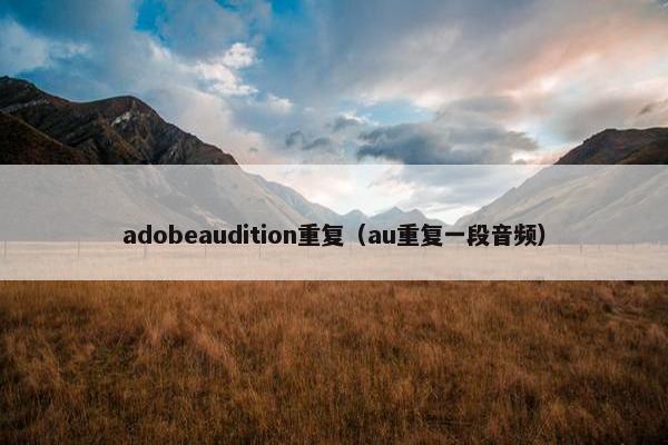 adobeaudition重复（au重复一段音频）