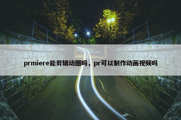 prmiere能剪辑动图吗，pr可以制作动画视频吗