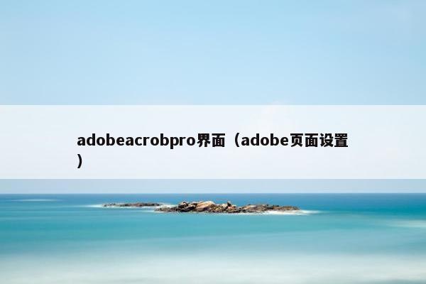 adobeacrobpro界面（adobe页面设置）