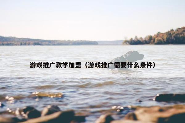 游戏推广教学加盟（游戏推广需要什么条件）